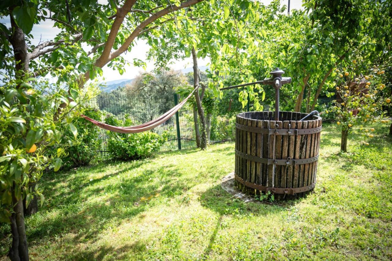 Pinhawood Villa Resende Buitenkant foto